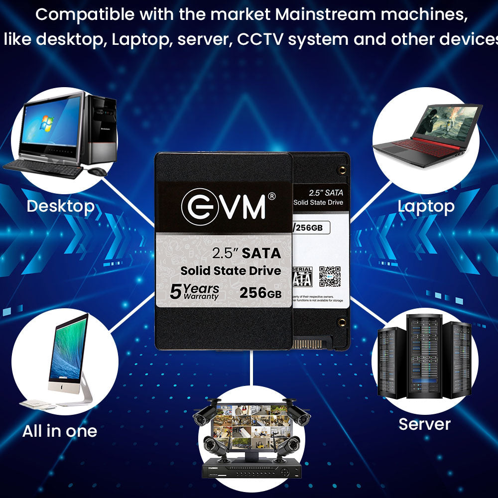EVM 256GB 2.5-inch SATA 3D NAND Internal SSD