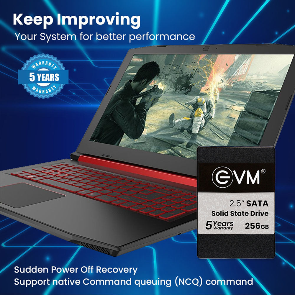 EVM 256GB 2.5-inch SATA 3D NAND Internal SSD