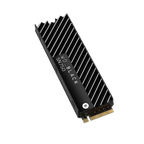Western Digital SN750 1TB M.2 NVMe Internal Solid State Drive with Heatsink - Black