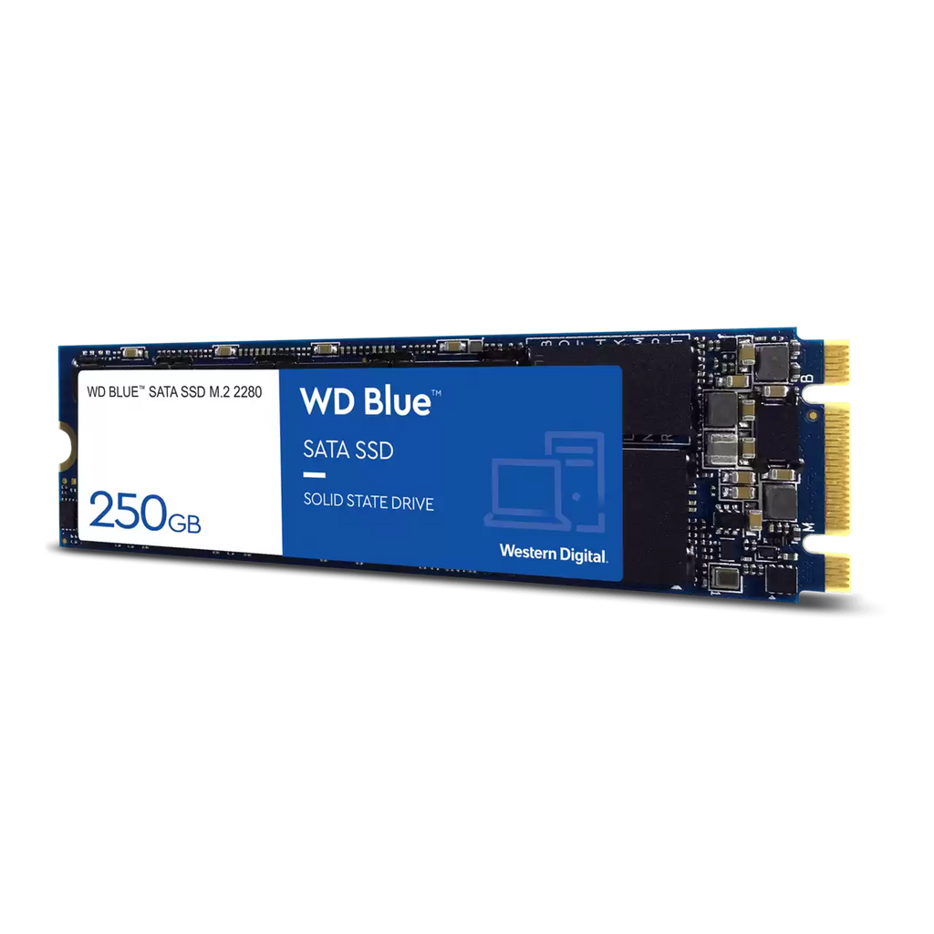 Western Digital WD Blue 250GB M.2 SATA 3D NAND Internal Solid State Drive - Blue