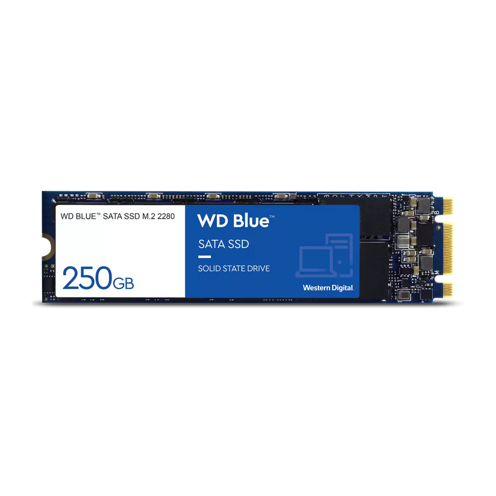 Western Digital WD Blue 250GB M.2 SATA 3D NAND Internal Solid State Drive - Blue