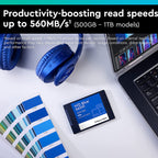 Western Digital Blue SA510 1 TB 2.5-inch SATA III Internal SSD